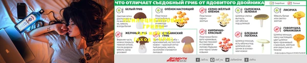 кокс Абинск